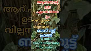 ചെറിയ തോട്ടം നല്ല വരുമാനം വിൽപ്പനയ്ക്ക് bus route cardamom land for sale 6 acre