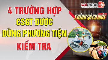 4 Trường Hợp CSGT Được Dừng Phương Tiện | LuatVietnam