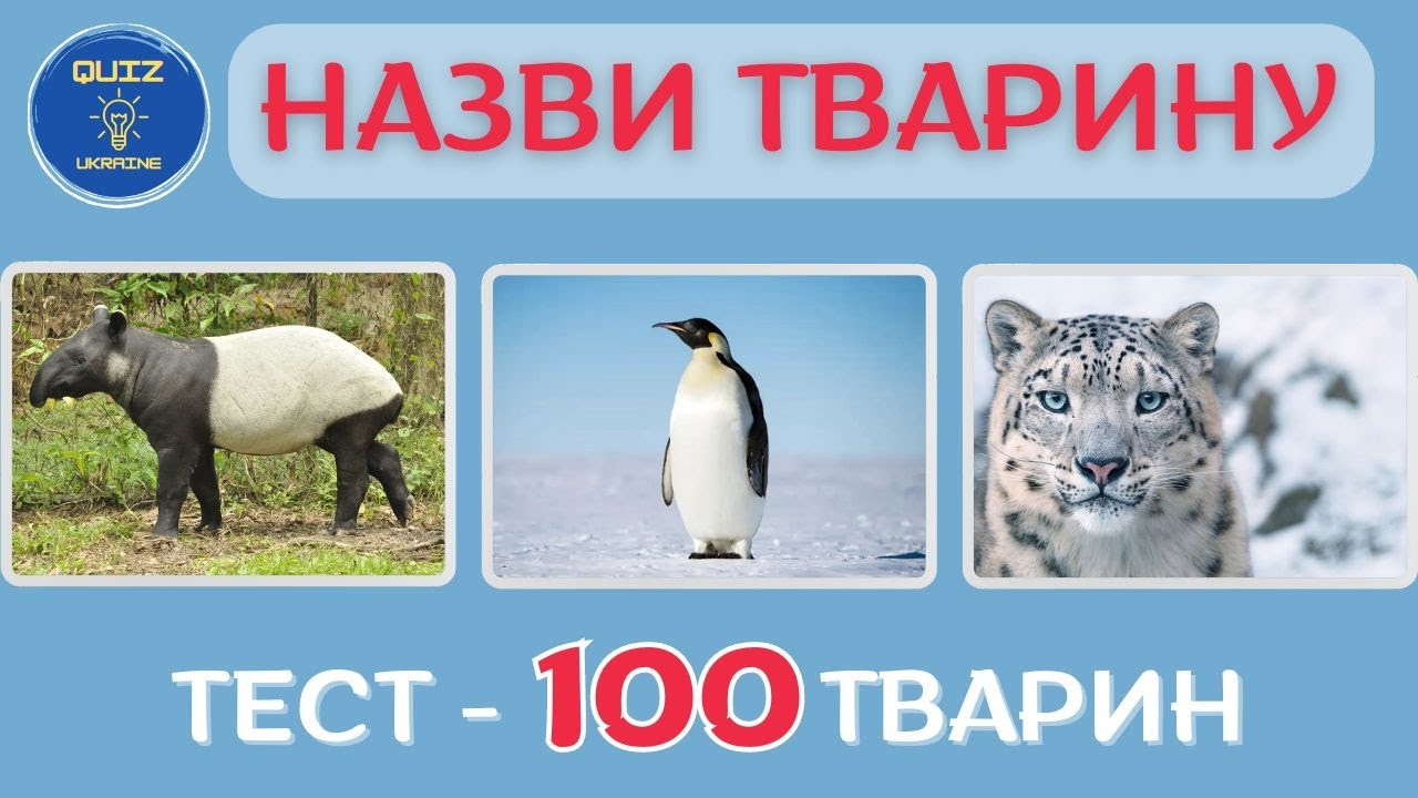 Відгадай 100 тварин на фото 😸🙈🦁🐯🦒