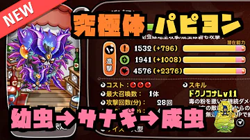 城ドラyasu究極体