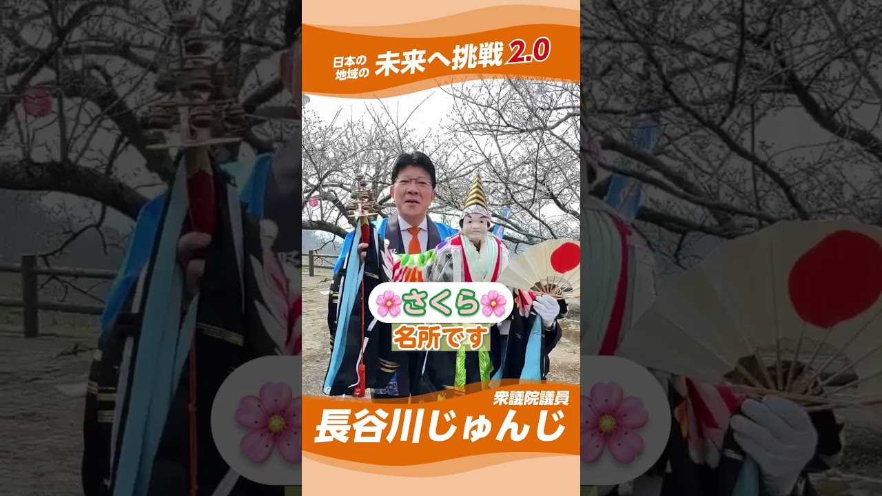 2026年3月29日 野福峠さくら祭り #長谷川じゅんじ #愛媛 #愛媛県 #野福峠