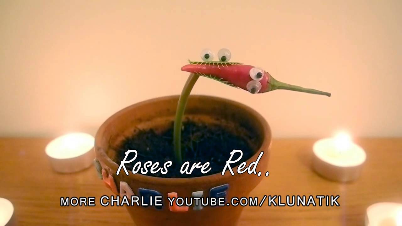 Valentines spéciales poème