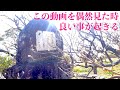 この動画に辿り着いた時、3日以内に良いことが起こるパワースポット・見えない力の恩恵を受け取る・夢が叶う【遠隔参拝】梅まつりPower spot where good things happen