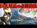 【高知県沖ノ島(東のハナの高場)】尾長攻略釣法を紹介