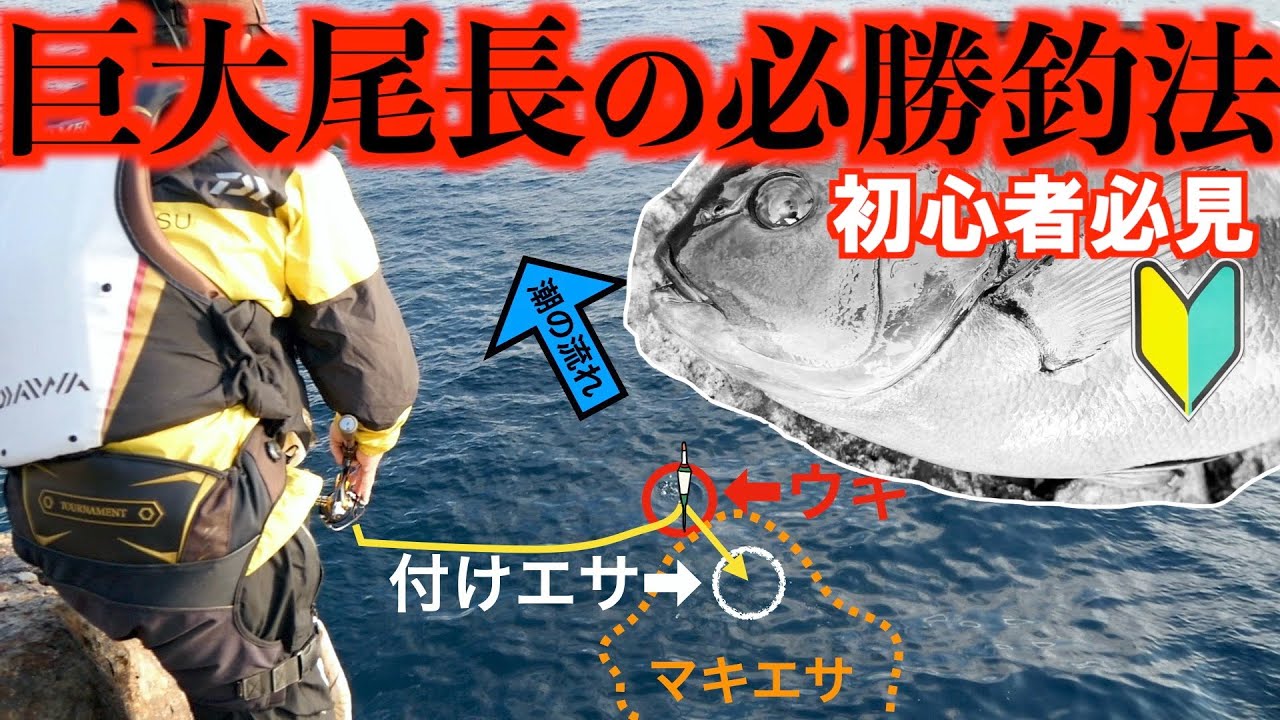 【高知県沖ノ島（東のハナの高場)】尾長攻略釣法を紹介