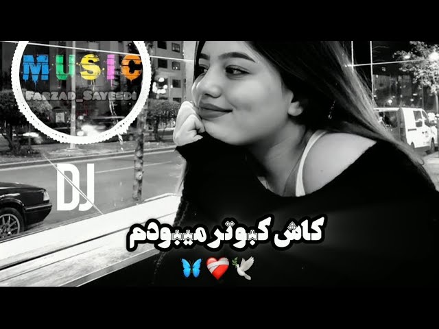 آهنگ احساسی عاشقانه//کاش کبوتر میبودم🕊️❤️🦋//ترند انستاگرام تیک تاک||Kash Kabotar Mibodam Feriyal