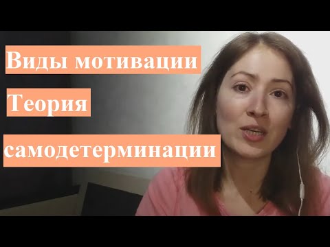 Теория самодетерминации: мотивация персонала и саморазвитие