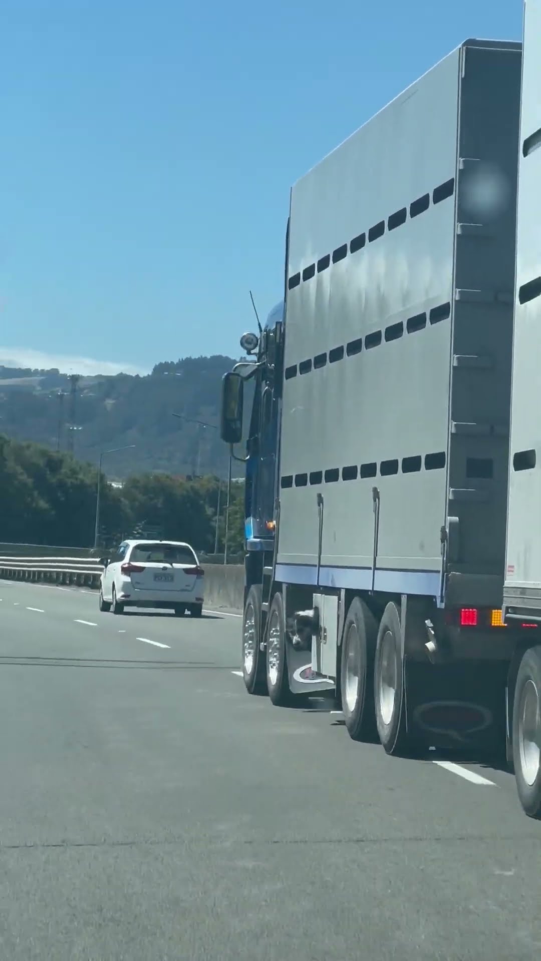 Dog Happily Riding Underneath Semi || ViralHog