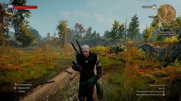 The Witcher 3 PS4 Pro after 1.60/1.61 patch. Terrible draw distance and pop in objects.