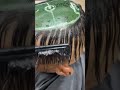 Top 5 Funniest Videos on the Internet 😂