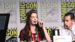 The Guild Panel at the 2011 SDCC
