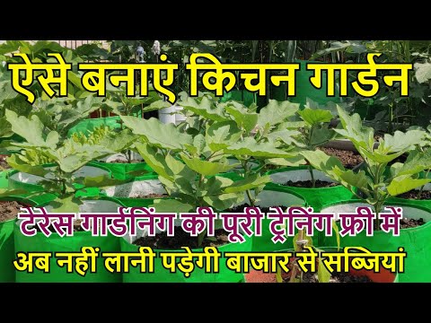 वीडियो: सब्जी उद्यान शुरू करने के लिए आपका मार्गदर्शन