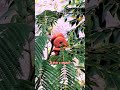 Could This Be A Snake?