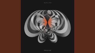 Painted Lady - Salin