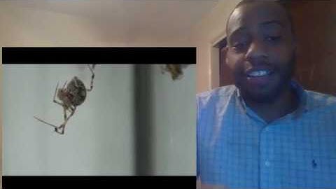 98% OF PEOPLE FAIL Try Not To Laugh CLEAN [Part 8]- TRY NOT TO LAUGH REACTIONS