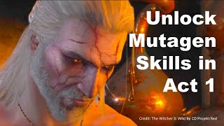 EUPHORIA at level 18, Unlock the Mutagen Tree, in Act 1 of the WITCHER 3, low level #witcher3