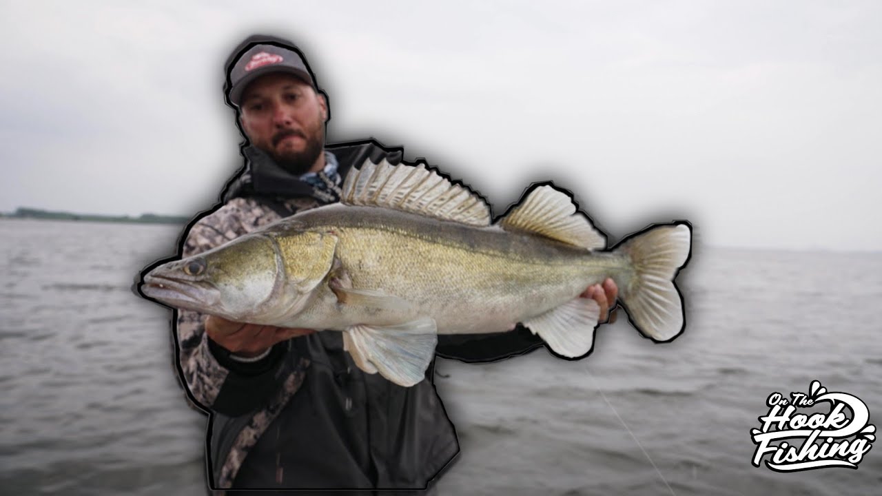 Zander Fishing Lure fishing for Zander [English Subtitles] YouTube
