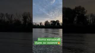 Рыбалка в Астрахани, рыбалка на раскатах, сом на квок, дельта волги, рыбалка на нижней Волге, сазан.