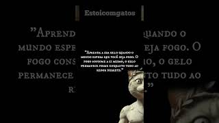 Fogo é para os amadores; o gelo é para os soberanos. Nosso Ebook https://go.hotmart.com/H104951961X