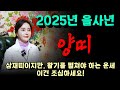 2025년 양띠 운세 완벽 가이드 용군TV 설화궁주 임설화 2025년 양띠 운세 완벽 가이드 용군TV 설화궁주 임설화