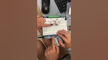 Seatbelt project