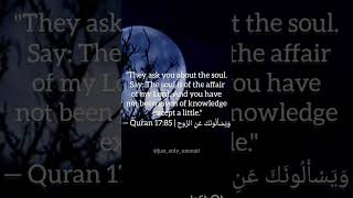 The Quran was always ahead. ✨ #IslamicPhilosophy #Quran #Soul#IslamAndScience #Muslim #DeepThoughts