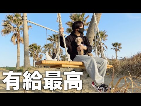 【逃亡生活】有給を使い切って犬と実家に帰省しました/トイプードル