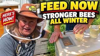 Beekeeping: Feed for WINTER BEES — Not Just Winter Honey