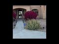 Flippin AZ - Vlog Ep 1: Curb Appeal