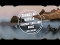 Sounds of nature - Tibetan flute and birds | Meditation | Relaxation