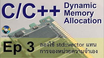 Dynamic Memory Allocation in C/C++ Ep 3/3 - Using std::vector to hold the data