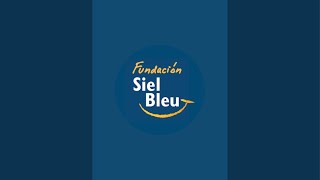 Siel Bleu Gimnasio virtual - Campaña de donación #porunmillondesonrisas