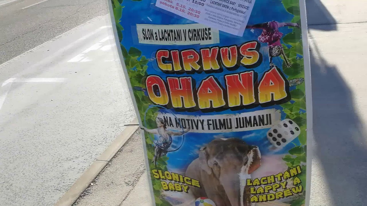 Прекрасный город Брно! (нет) москве на завтра