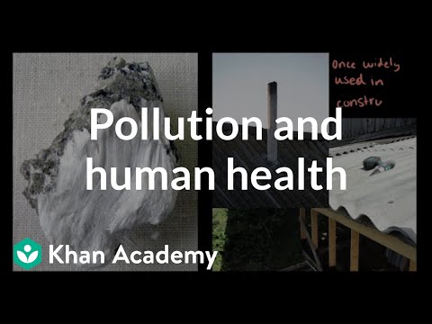 Pollution and human health| Aquatic and Terrestrial Pollution| Khan Academy