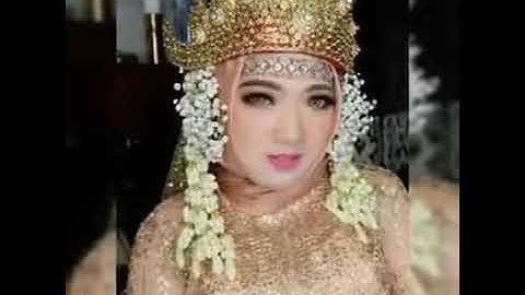 Mulei lampung