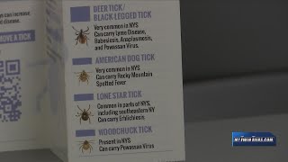 Where you can find ticks and how to protect yourself from them