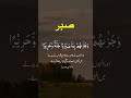 Sabr Ki Ahmiyat | Quranic Ayat With Urdu Translation | Best Islamic Reminder | #apnamuqam