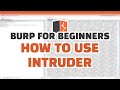 Burp for Beginners: How to Use Intruder