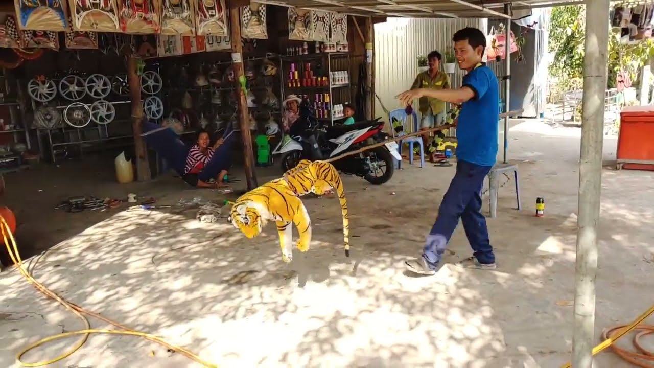 Fake Tiger Prank dog vs 2 Tiger