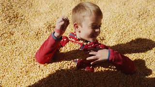 Ferguson's Family of Farms | Eau Claire, Wisconsin | Apple Orchard in Wisconsin