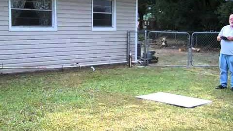 Walkera V120D01  My First Hover