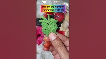 रुका हुआ कार्य शिवजी पर शमी पत्र चढ़ाने से होंगे पूर्ण #pradeepmishra #mahadev #shivpuran #upay 🌼