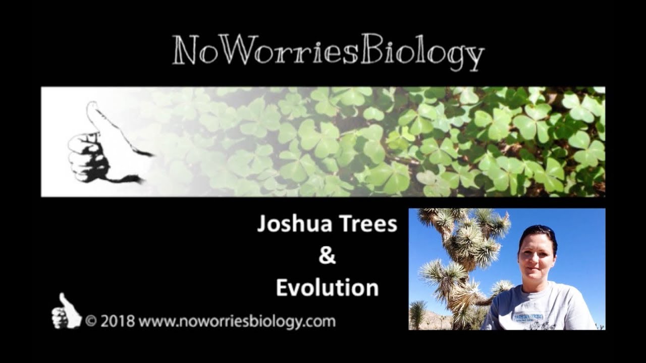 Joshua Trees and Evolution - YouTube