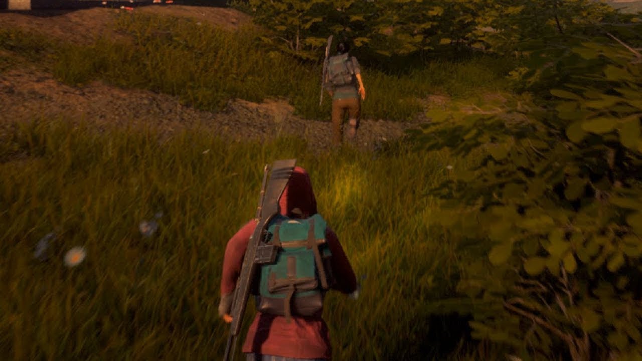 state of decay 2 mods custom character