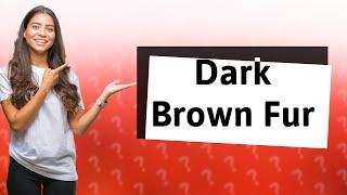 What fur is dark brown?