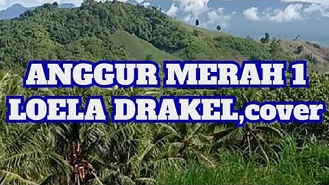 ANGGUR MERAH 1 cover syam