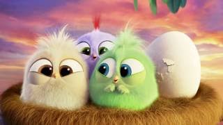 The Angry Birds Movie - The Hatchlings Thank You!