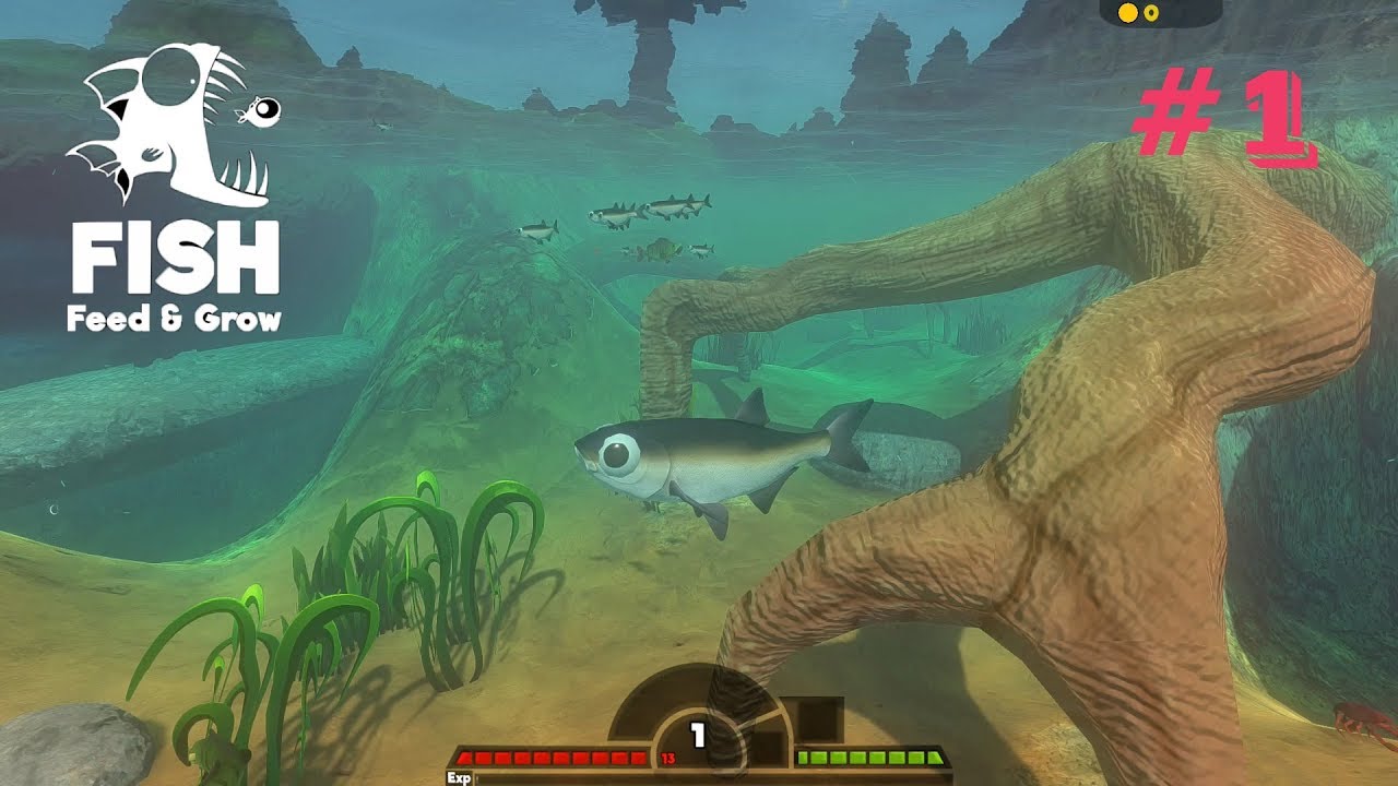 feed grow fish 10.1 mod feed grow fish 10.1 mod