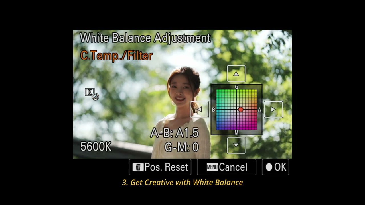 Alpha 7C II | Define Your Style with Customised Creative Look Presets