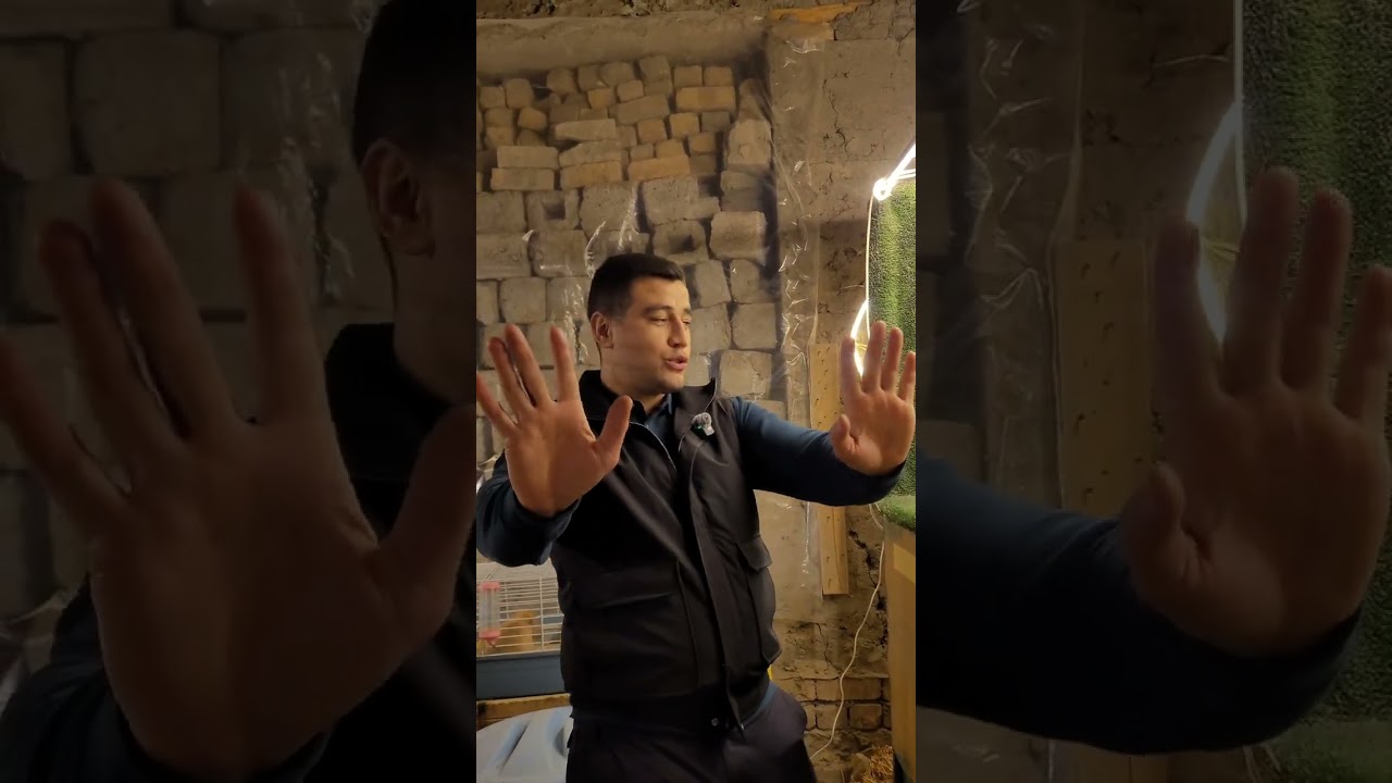 Quyon olishda aldanib qolmang 